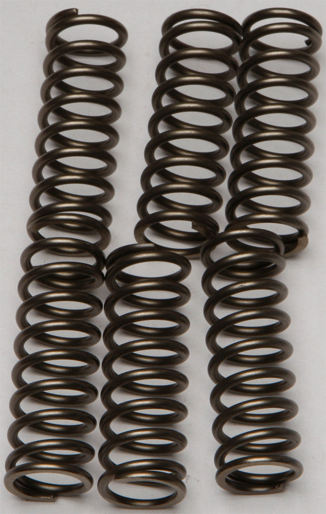 EBC Clutch Springs Csk160 CSK160