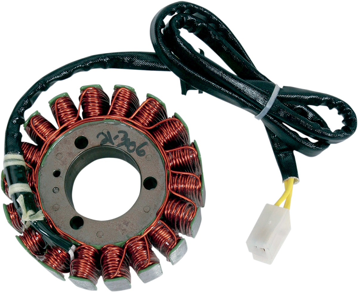 RICK'S MOTORSPORT ELECTRIC Stator - Suzuki 21-306