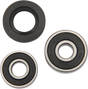 PIVOT WORKS Wheel Bearing Kit - Rear PWRWK-K11-006