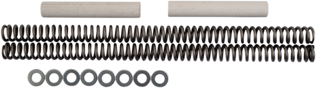 RACE TECH Fork Springs - 1.00 kg/mm FRSP S2341100