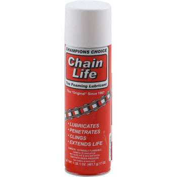 PROTECT ALL Chain Life Schmiermittel - 17 oz. Nettogewicht - Aerosol 35017PA 