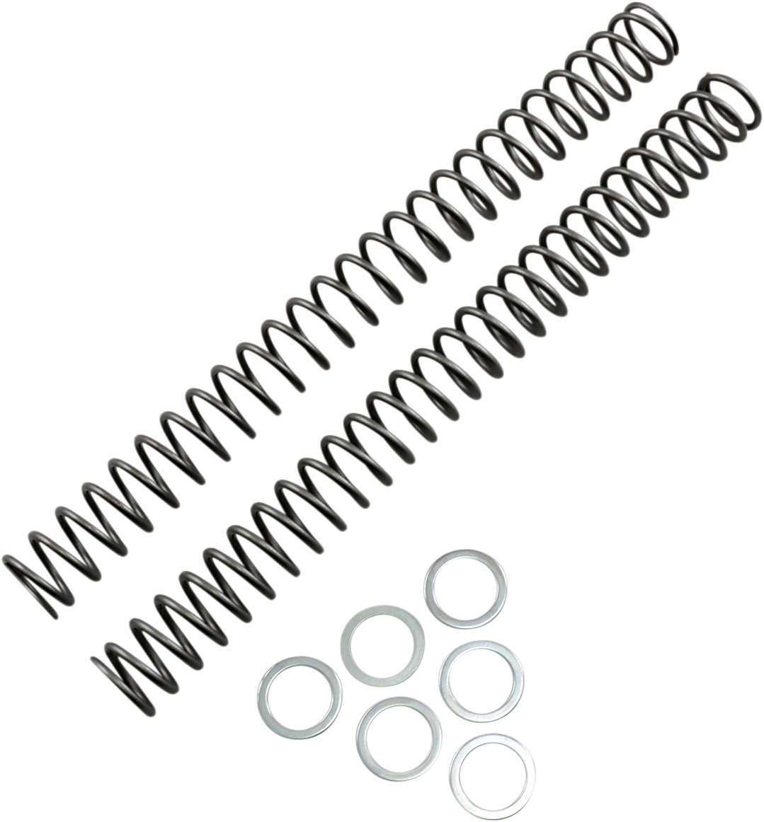 RACE TECH Fork Springs - 0.42 kg/mm FRSP 444742