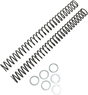 RACE TECH Fork Springs - 0.42 kg/mm FRSP 444742