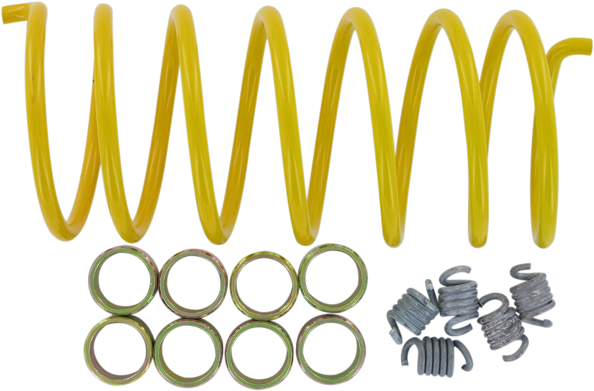 EPI Clutch Kit WE490652