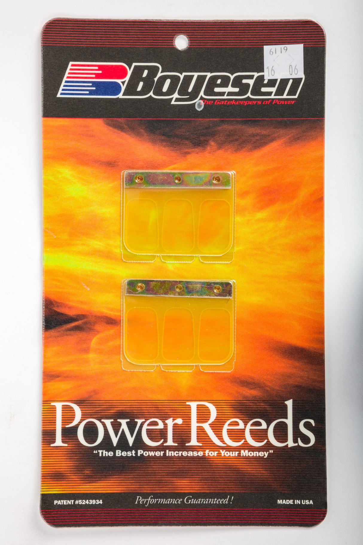 BOYESEN Motorcycle Reeds 6119