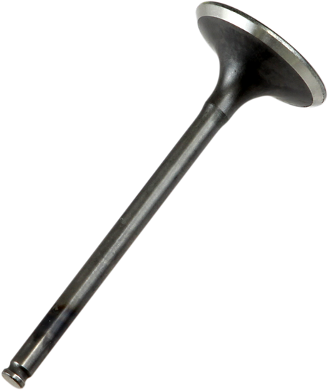 PROX Exhaust Valve 28.1409-1