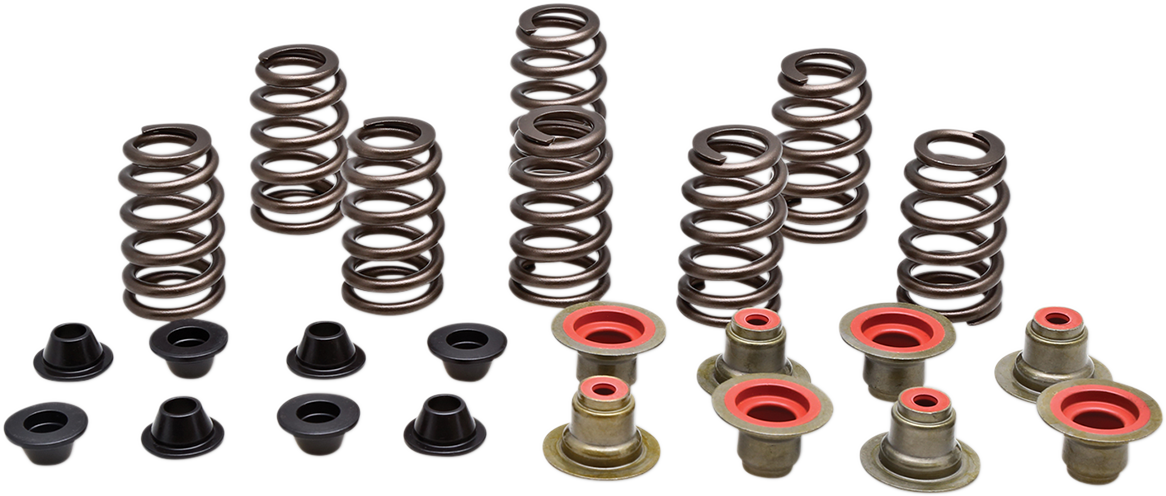 KIBBLEWHITE Valve Spring Kit 82-82550