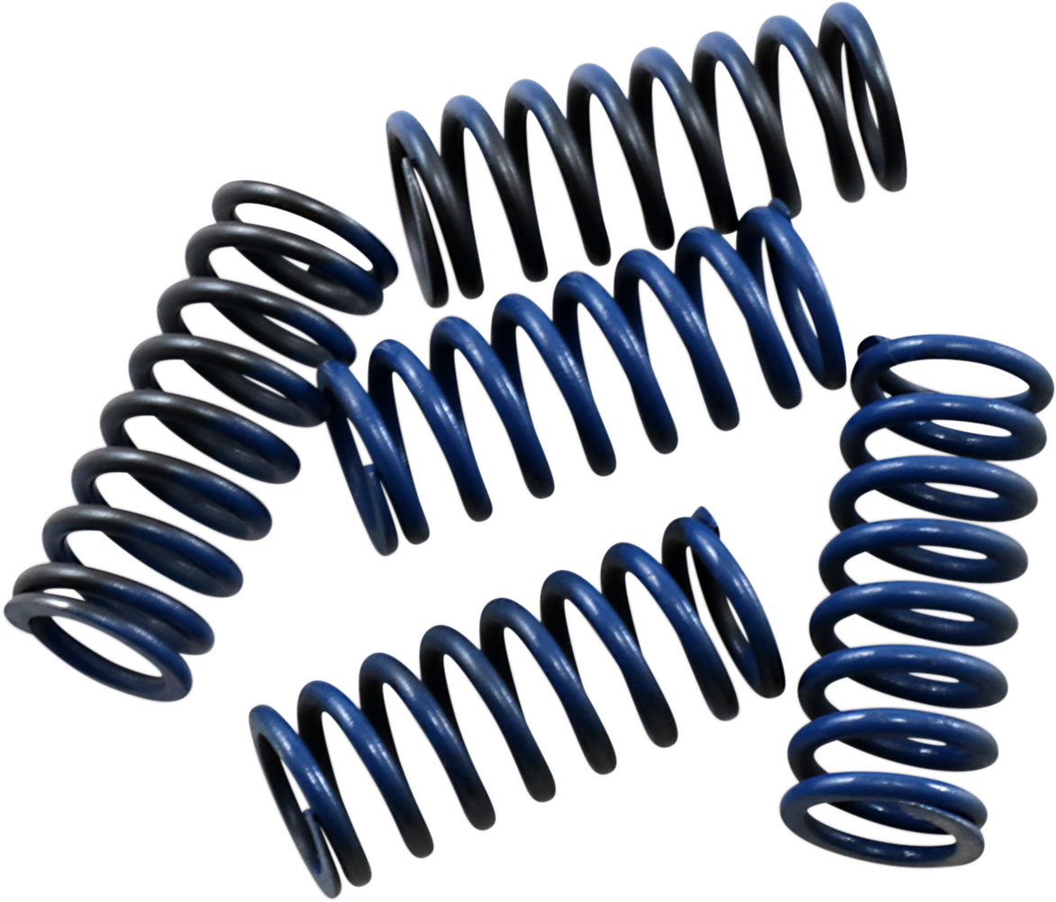 HINSON RACING Clutch Spring Kit CS215-5-001