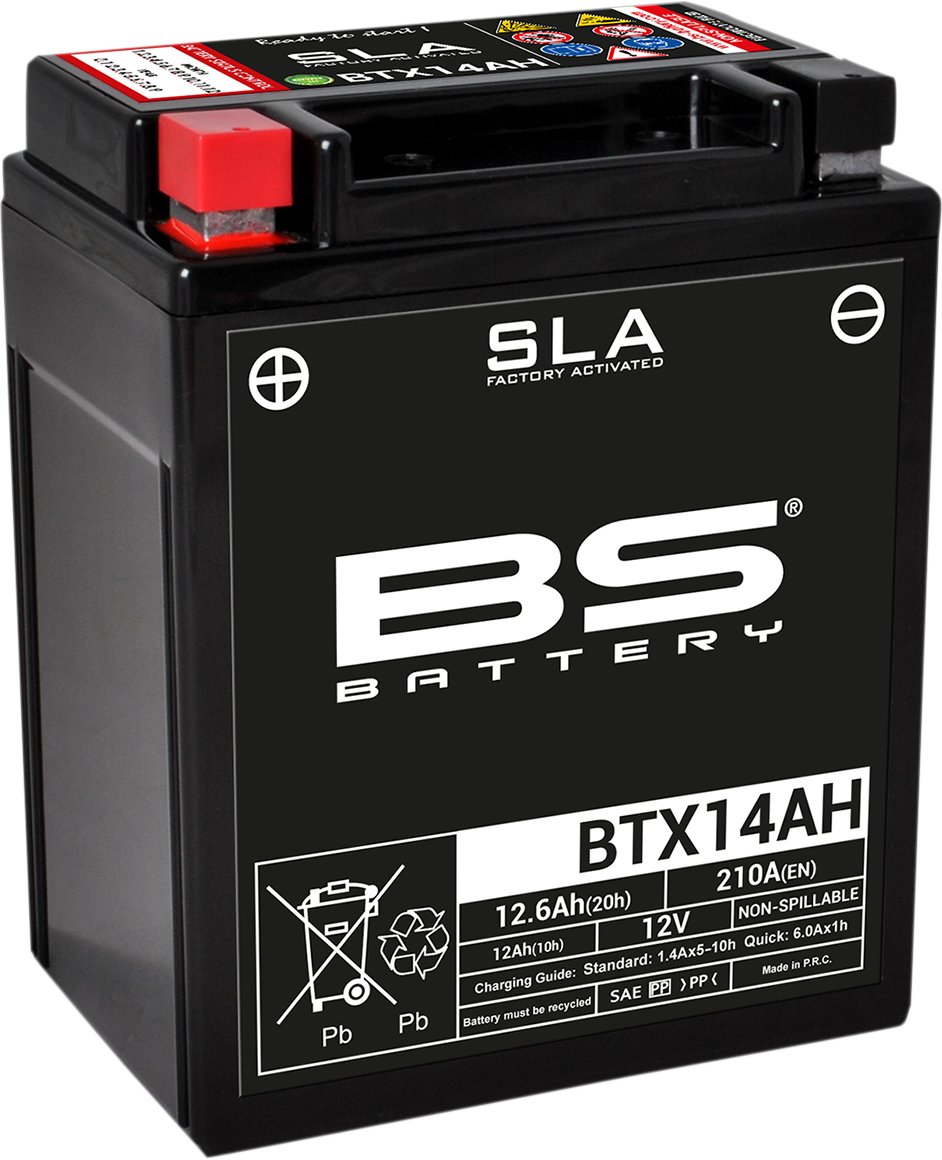 BS BATTERY Battery - BTX14AH (YTX) 300758