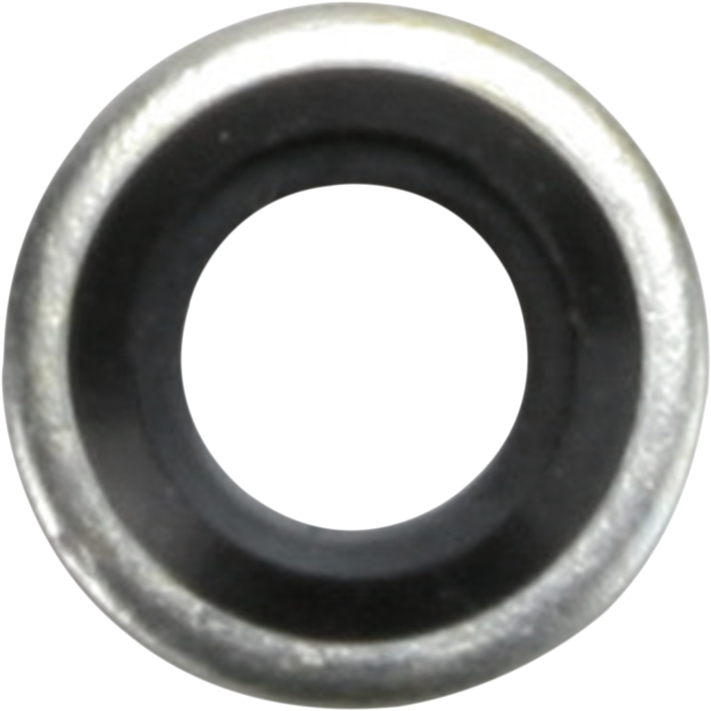 JAMES GASKET Rocker Cover Washer - XL/XR JGI-6589