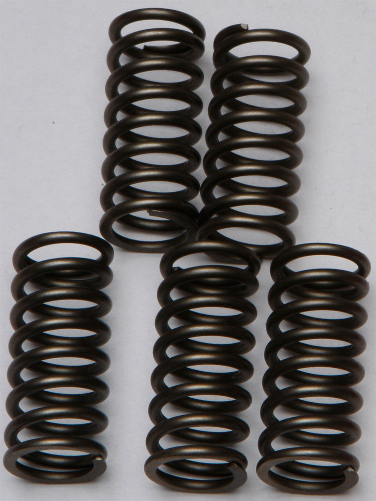 EBC Clutch Springs Csk132 CSK132