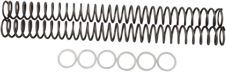 RACE TECH Fork Springs - 0.42 kg/mm FRSP 414642