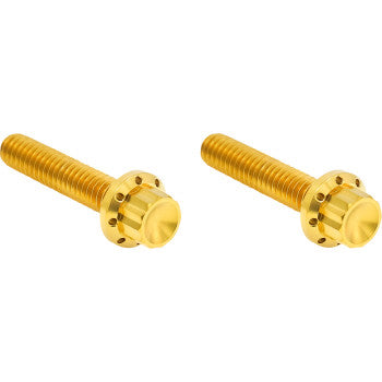 ARLEN NESS Bolt Kit - Hydraulic Clutch - Titanium - 12-Point - M8/Twin Cam - Gold 300-708
