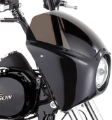 ARLEN NESS Fairing - Gloss Black 06-033