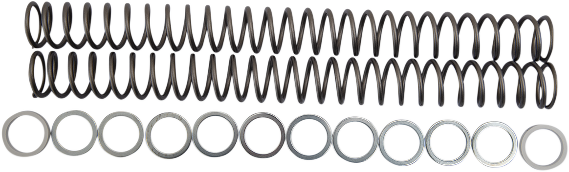 RACE TECH Fork Springs - 0.48 kg/mm FRSP 434648