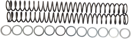 RACE TECH Fork Springs - 0.48 kg/mm FRSP 434648