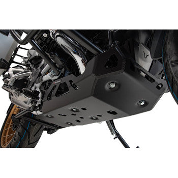 SW-MOTECH Engine Guard - Black - BMW - R 1250 GS 2019-2023  MSS.07.904.10001/B