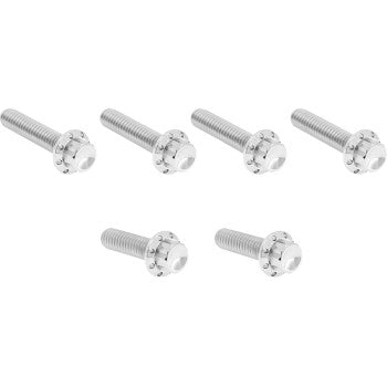 ARLEN NESS Bolt Kit - Cable Clutch - Titanium - 12-Point - M8/Twin Cam - Polished 300-703