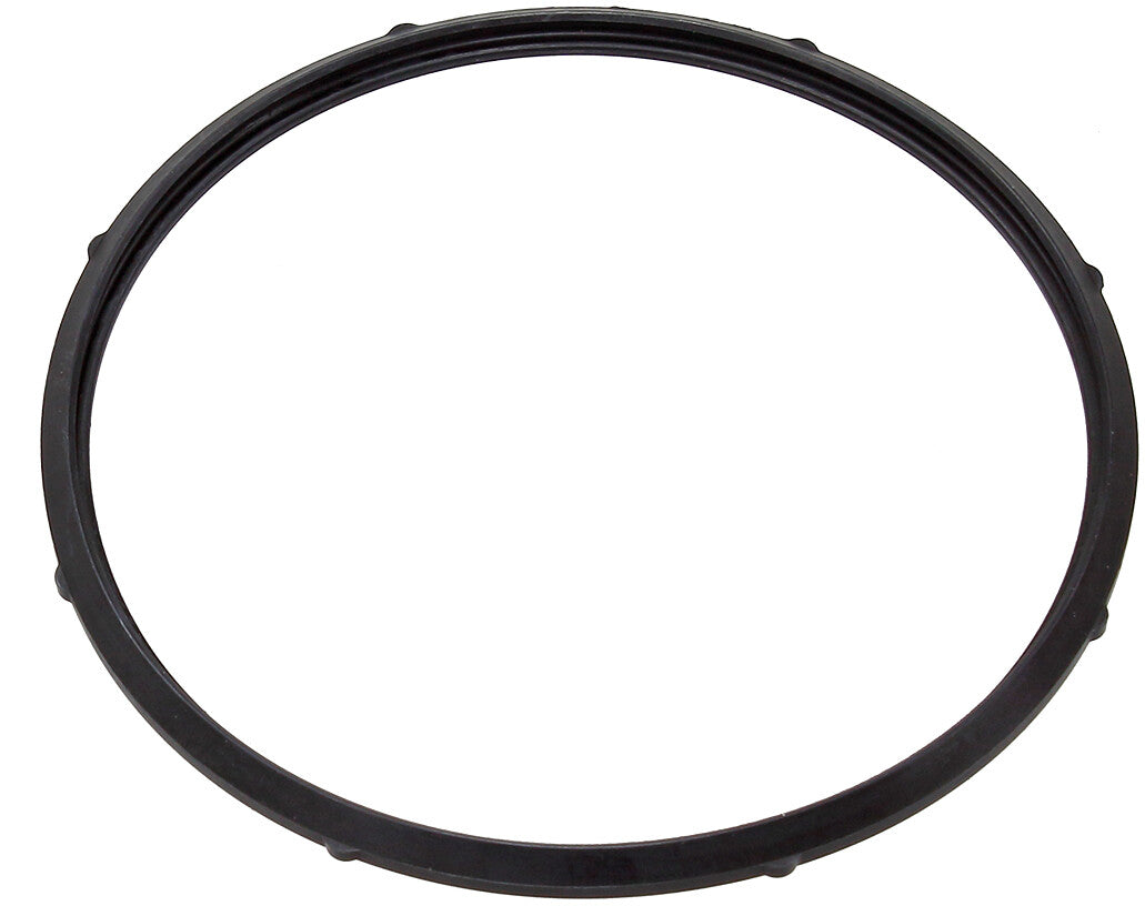 SP1 Fuel Pump Seal Yam SM-07261