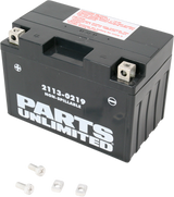 Parts Unlimited Agm Battery - Yt12a-Bs Ct12a-Bs