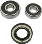 PIVOT WORKS Wheel Bearing Kit - Rear PWRWK-H26-021