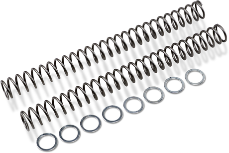 RACE TECH Fork Springs - 0.54 kg/mm FRSP 454754