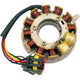 RICK'S MOTORSPORT ELECTRIC OE Style Stator - Ski-Doo 24-113