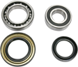 PIVOT WORKS Wheel Bearing Kit - Rear - Yamaha PWRWK-Y18-030