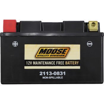 MOOSE UTILITY AGM Battery - CTZ10S CTZ10S