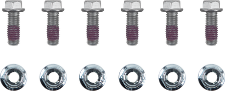 MOTO-MASTER Bolts - Rotor - M6 x 16 12015-PU