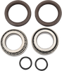 PIVOT WORKS Wheel Bearing Kit - Rear PWRWK-C05-000