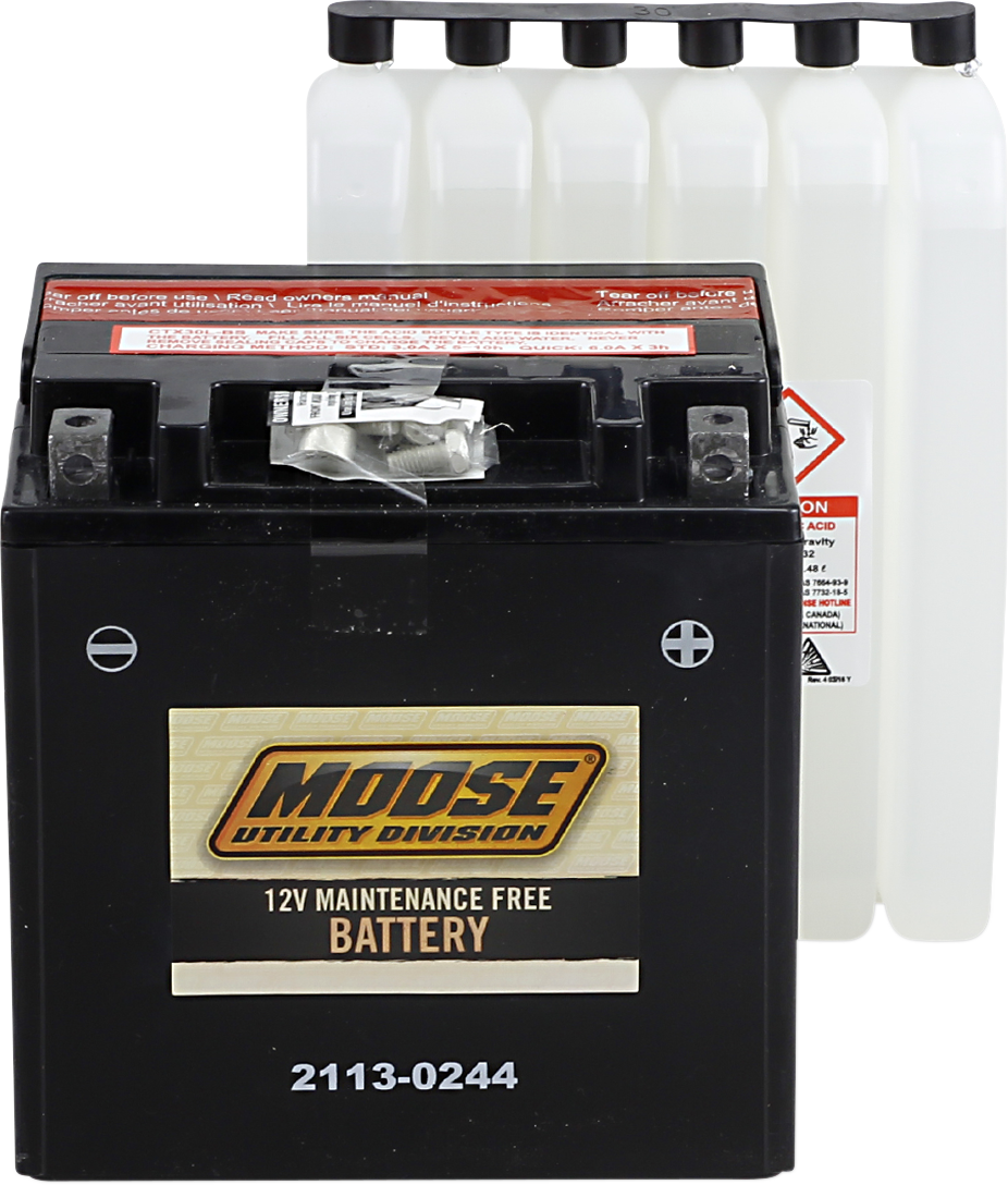 MOOSE UTILITY AGM Battery - YIX30L-BS 2113-0244