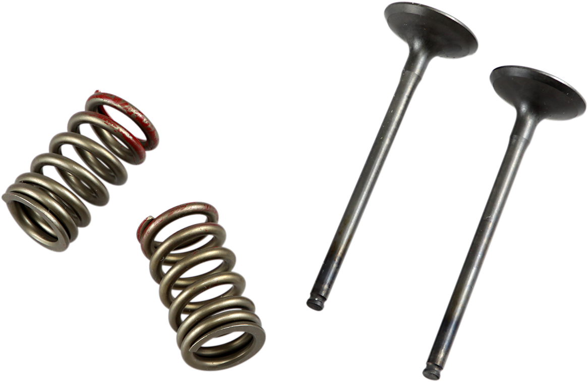 PROX Valve and Spring Kit 28.SES4335-1