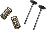 PROX Valve and Spring Kit 28.SES4335-1