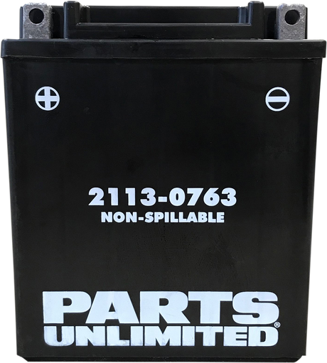 Parts Unlimited Agm Battery - Ctx12aabs Ctx12aabs (Fa)