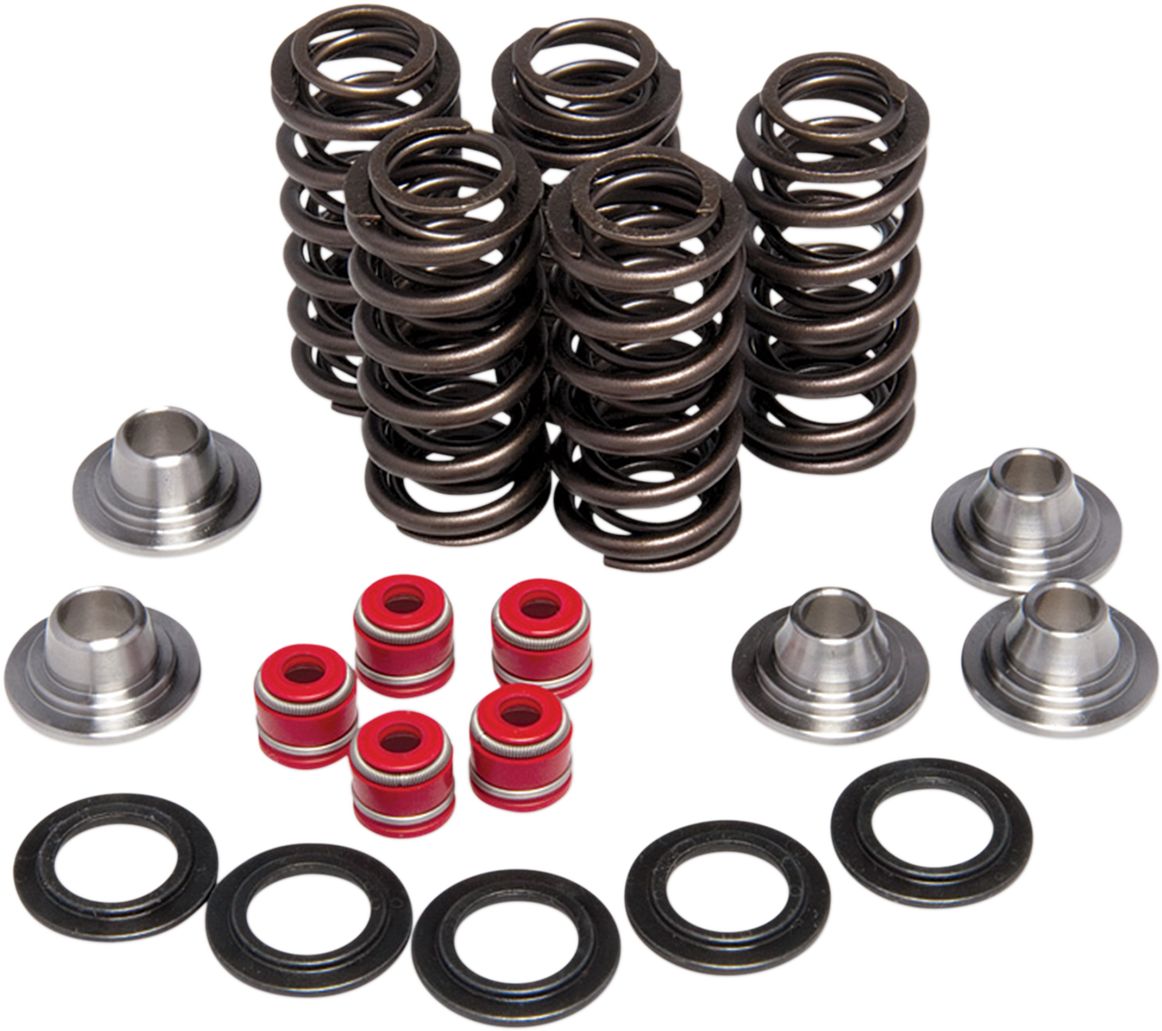 KIBBLEWHITE Valve Spring Kit 80-80206