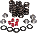 KIBBLEWHITE Valve Spring Kit 80-80206