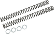 RACE TECH Fork Springs - 0.39 kg/mm FRSP 414839