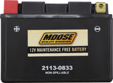 MOOSE UTILITY AGM Battery - CTZ14S CTZ14S