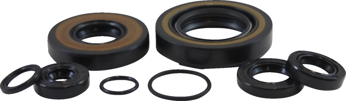 VINTCO Oil Seal Kit KOS005