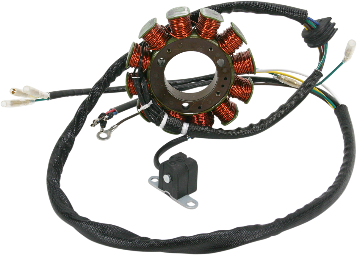 RICK'S MOTORSPORT ELECTRIC Stator 21-562