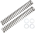 RACE TECH Fork Springs - 0.90 kg/mm FRSP S3627090