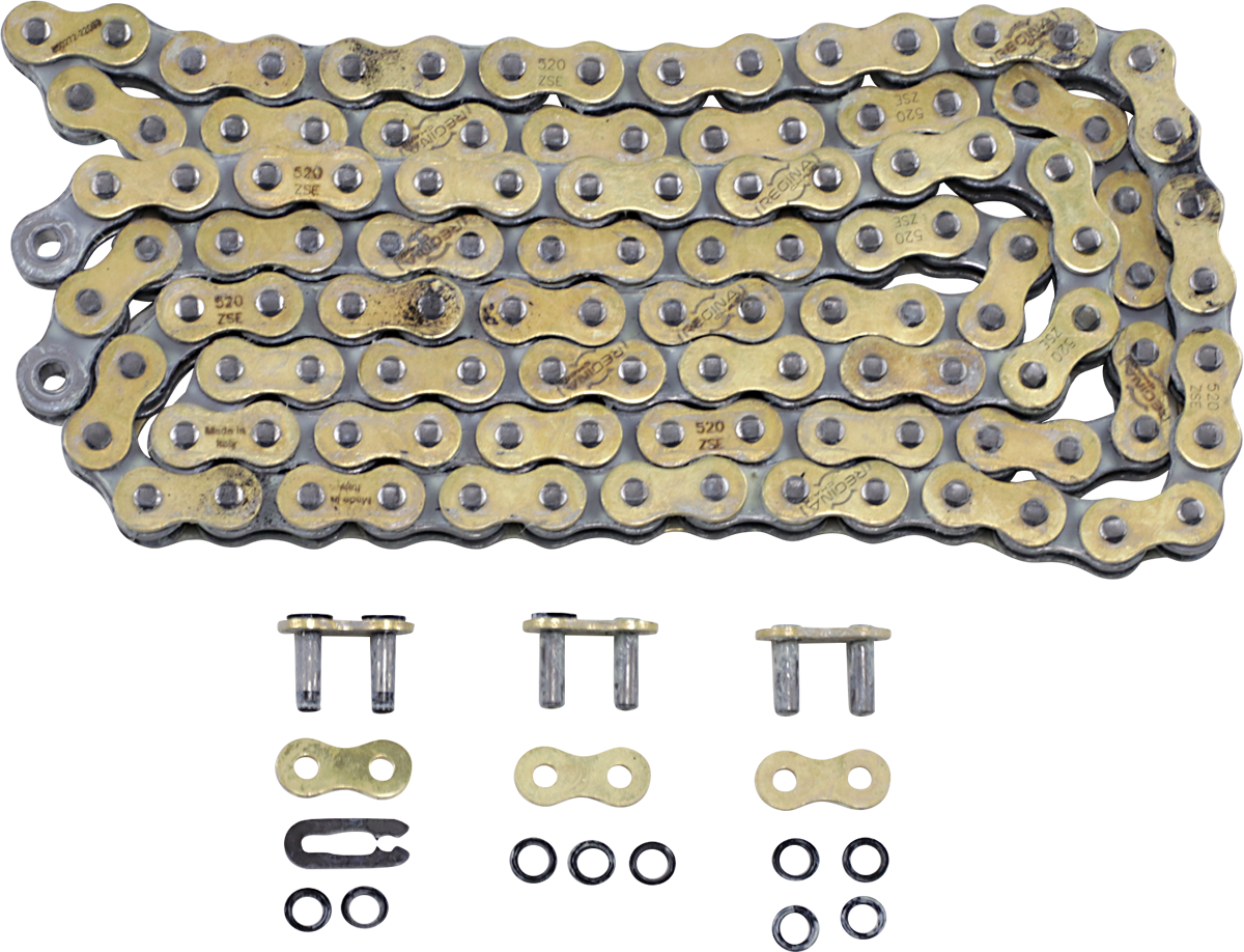 REGINA 520 ZSE - Drive Chain - 118 Links 135ZSE/1003