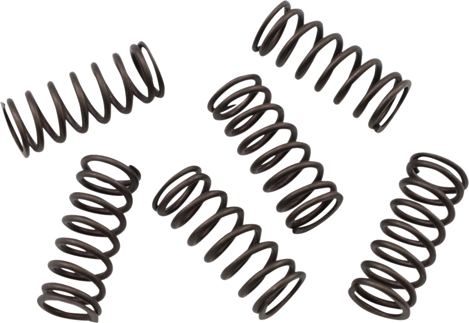 KG POWERSPORTS Clutch Spring Set KGS-809