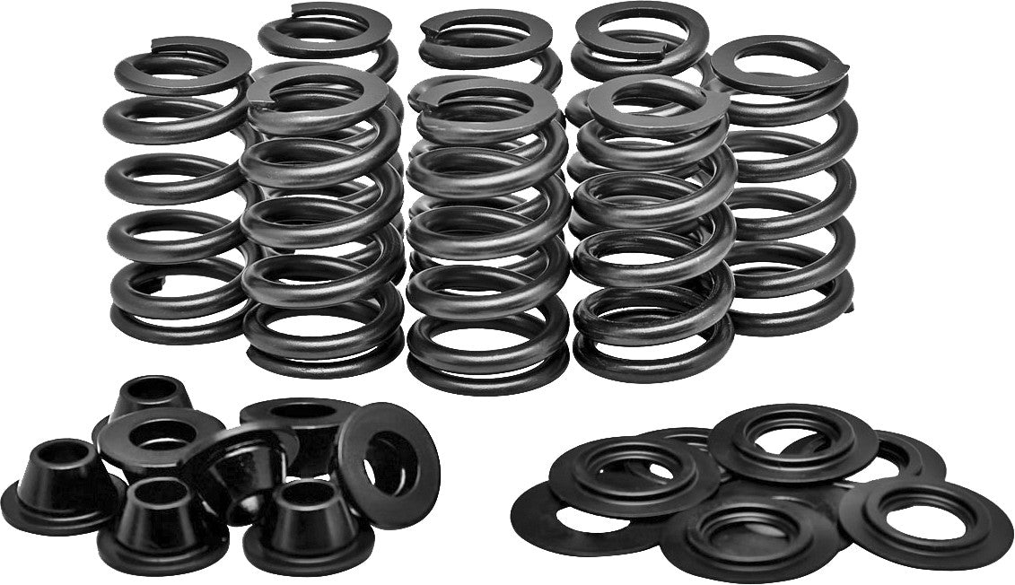 KPMIRacing Valve Spring Kit82-82580