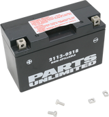 Parts Unlimited Agm Battery - Yt7b-Bs Ct7b-4