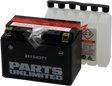 Parts Unlimited Agm Battery - Ytz14s-Bs Ctz14s-Bs