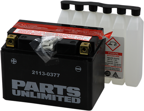 Parts Unlimited Agm Battery - Ytz14s-Bs Ctz14s-Bs