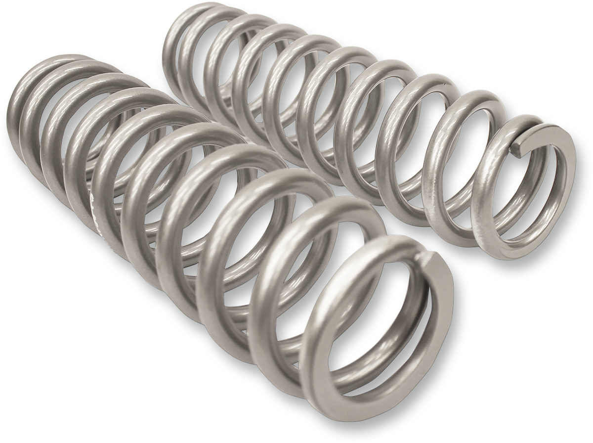 HIGH LIFTER Rear Shock Springs - Silver 79-13834