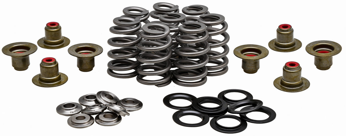 KPMIRacing Valve Spring Kit .625 Lift Titanium Retainers20-21800